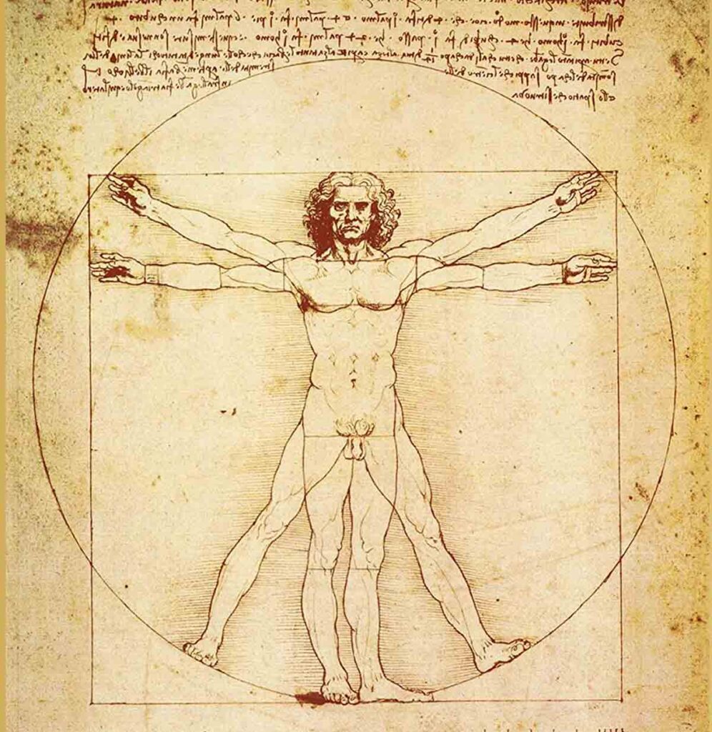 Vitruvian Man by Leonardo Da Vinci | Overview & Legacy ... What is the meaning behind the Vitruvian Man? The Vitruvian Man is da Vinci's study of the human form, which is meant to be perfectly proportionate through the application of geometry and mathematics. Its only meaning is to demonstrate the perfect ratios and proportions found in human anatomy.