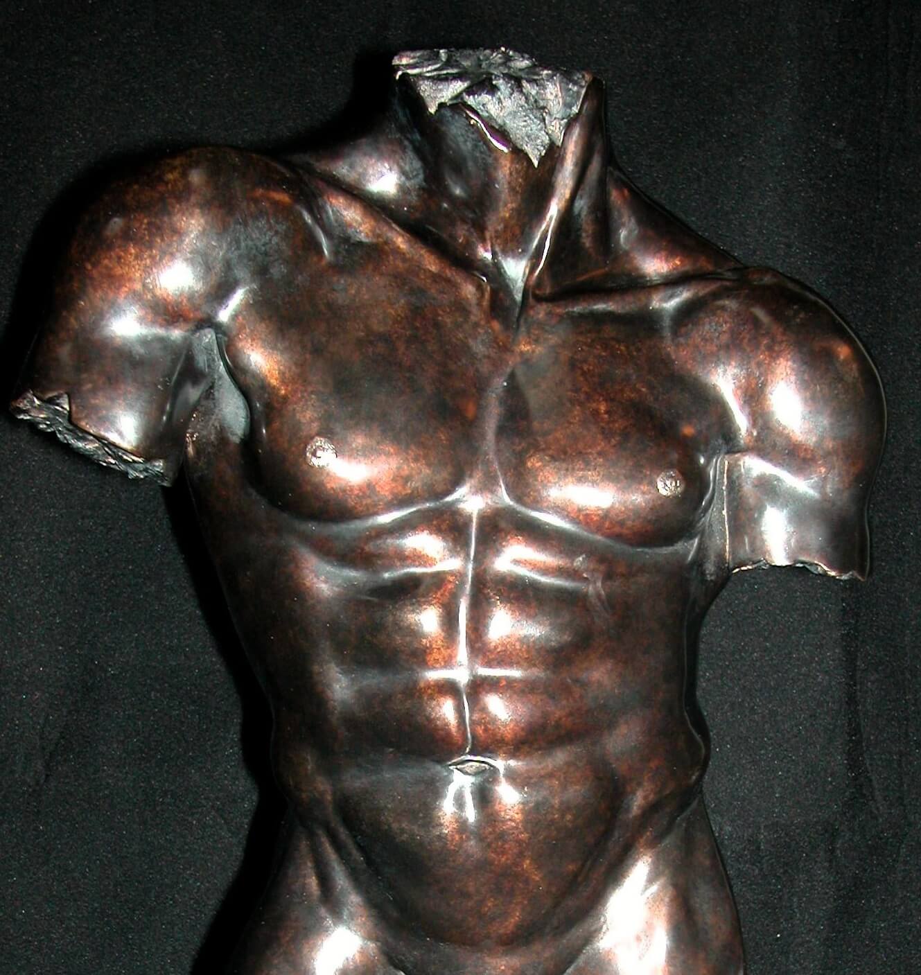 Male Torso